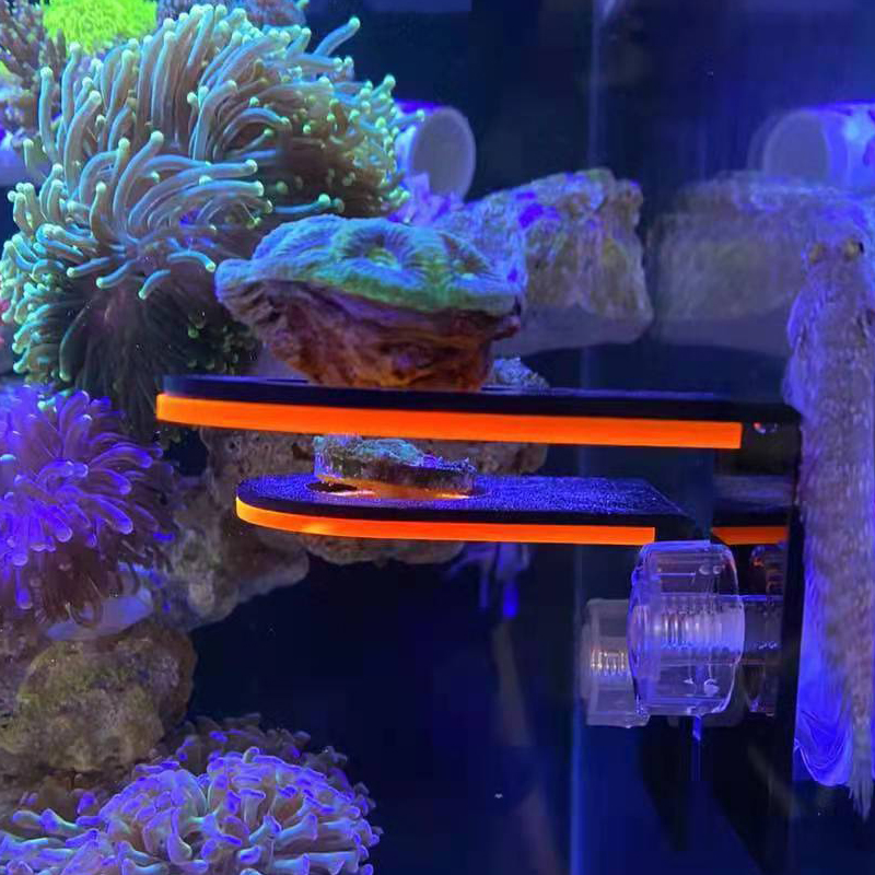 Marine Coral - Akrylowy uchwyt do uprawy fluorescencyjnych koralików