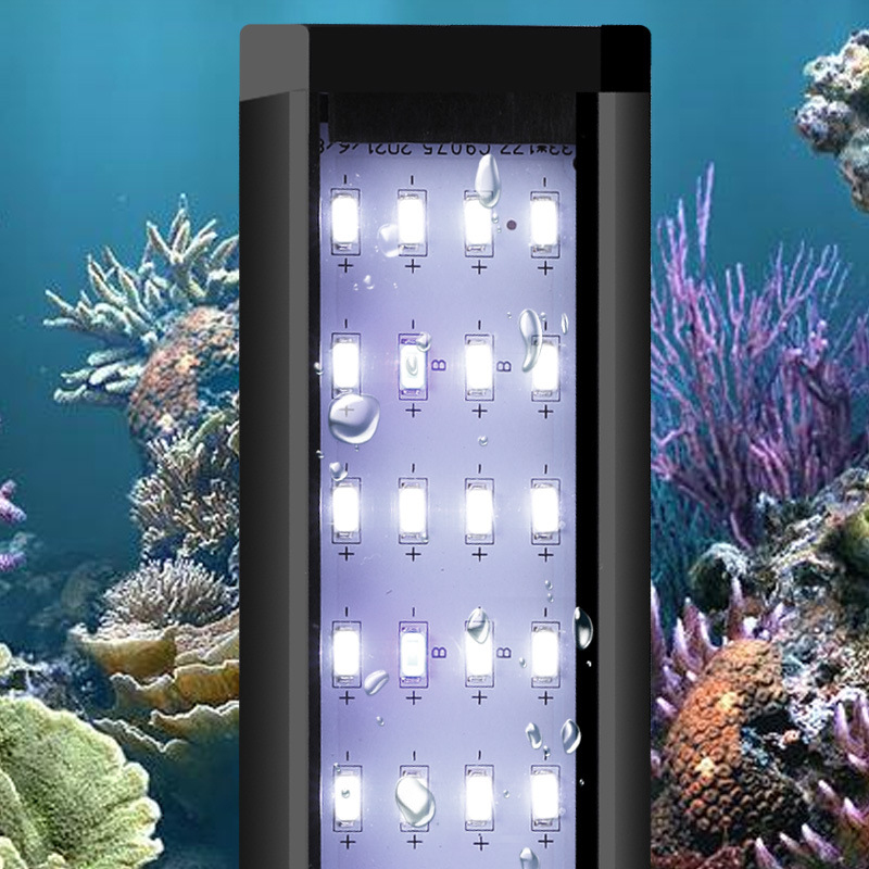 Profesjonalne oświetlenie LED  – Reef Lighting recenzja i cena
