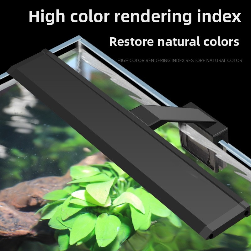 Profesjonalne oświetlenie LED  – Reef Lighting recenzja i cena