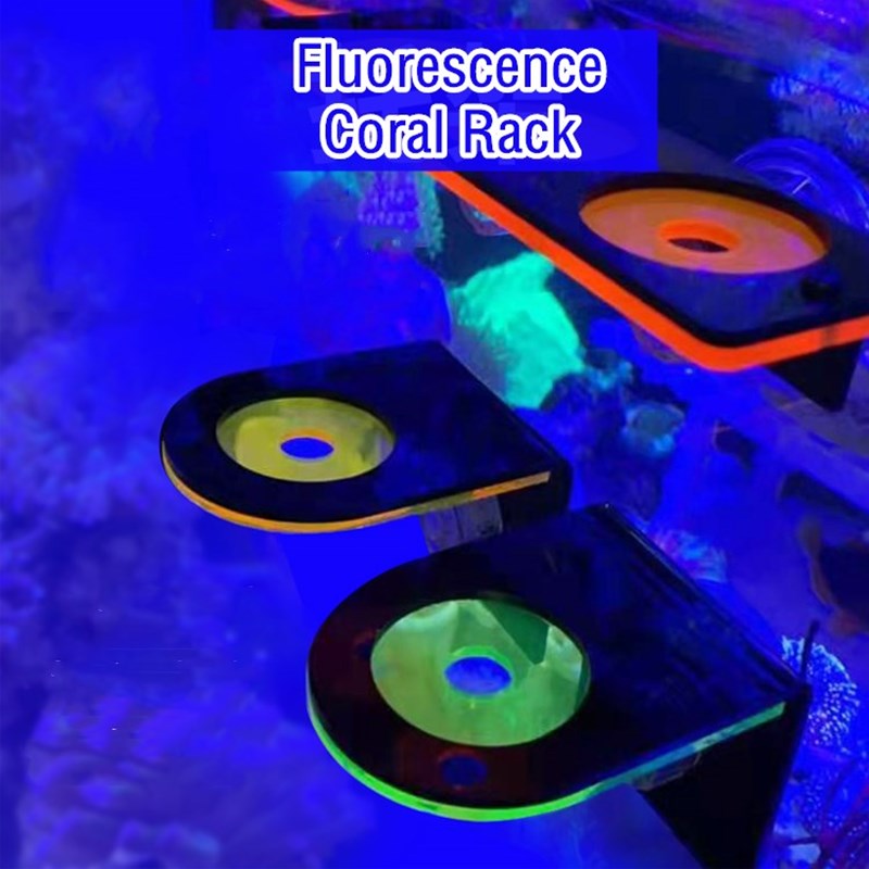 Akrylowy uchwyt do uprawy fluo – Marine Coral recenzja i cena