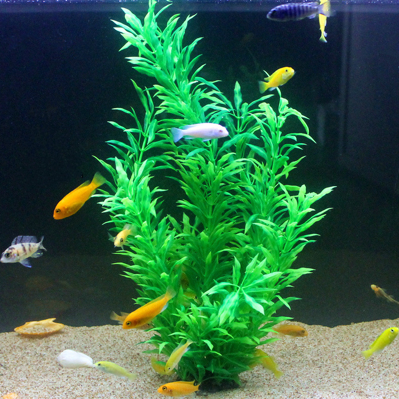 50CM sztuczne akwarium rzadkie – Marine Fish Tank recenzja i cena