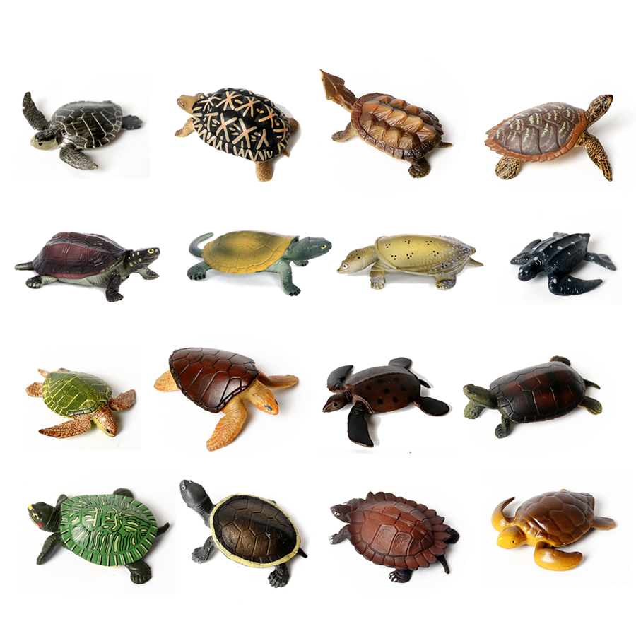 Realistyczne miniatury życie m – Marine Aquarium recenzja i cena